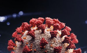 Closeup image of a Coronavirus molecule